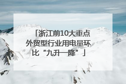 浙江前10大重点外贸型行业用电量环比“九升一降”